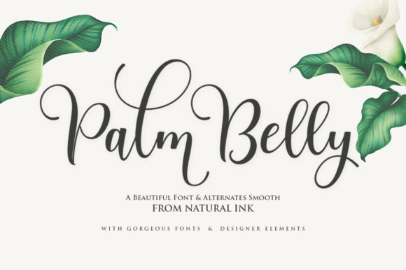 Palm Belly Font: Modern Script for Digital Campaigns