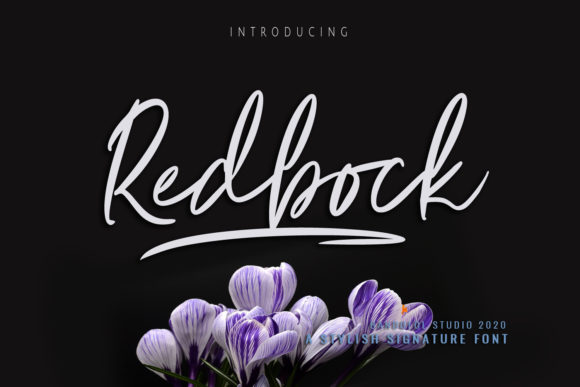 Redbock Font: Elegant Script for Web Design